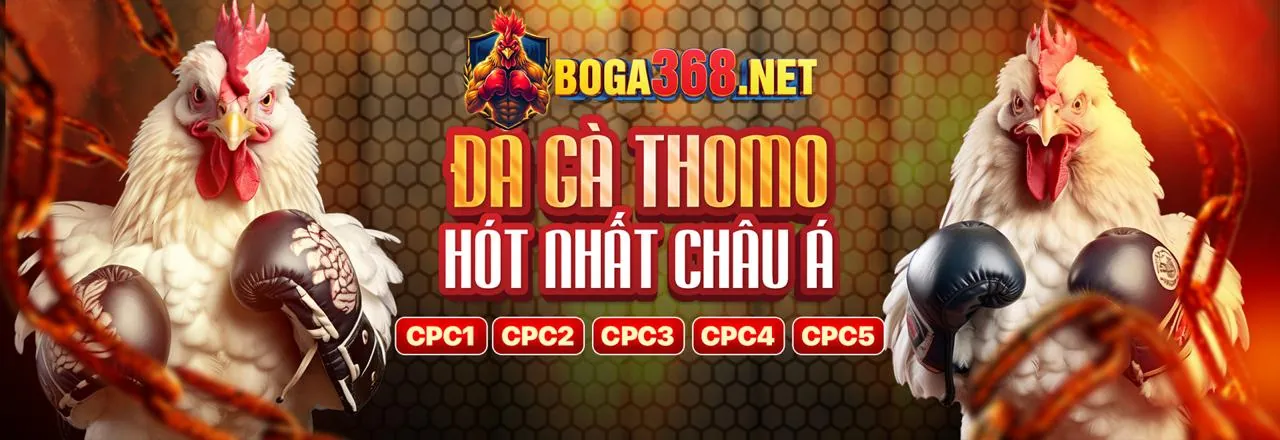 Đá Gà Trực Tuyến Hấp Dẫn tại TA28